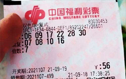 双色球CP达芬奇密码中奖幸运之门,揭秘中奖幸运之门