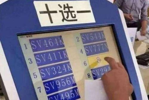 七乐彩幸运车牌选号器,轻松解锁幸运之门，开启财富之旅