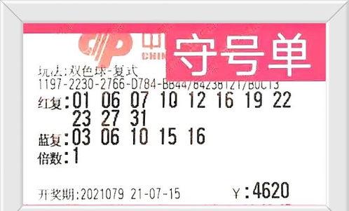开奖码79开奖结果,惊喜连连，好运连连！
