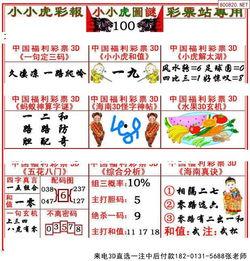 今天3d夏天和值字谜,探寻“夏天”和值之谜