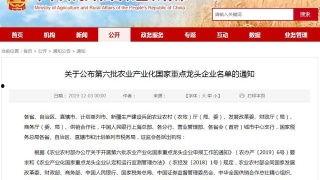 2019221开奖结果,2019221期双色球开奖结果揭晓